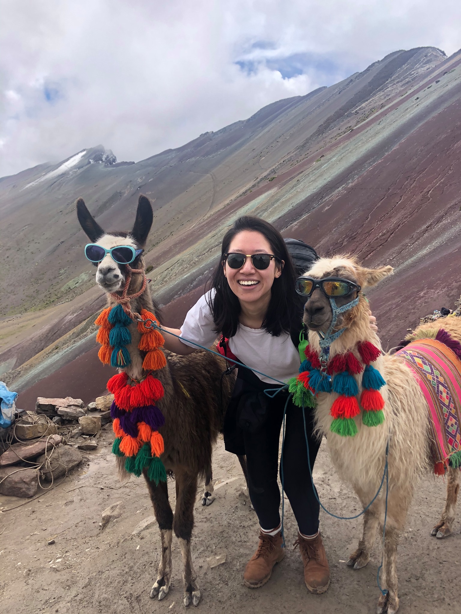 cool llamas